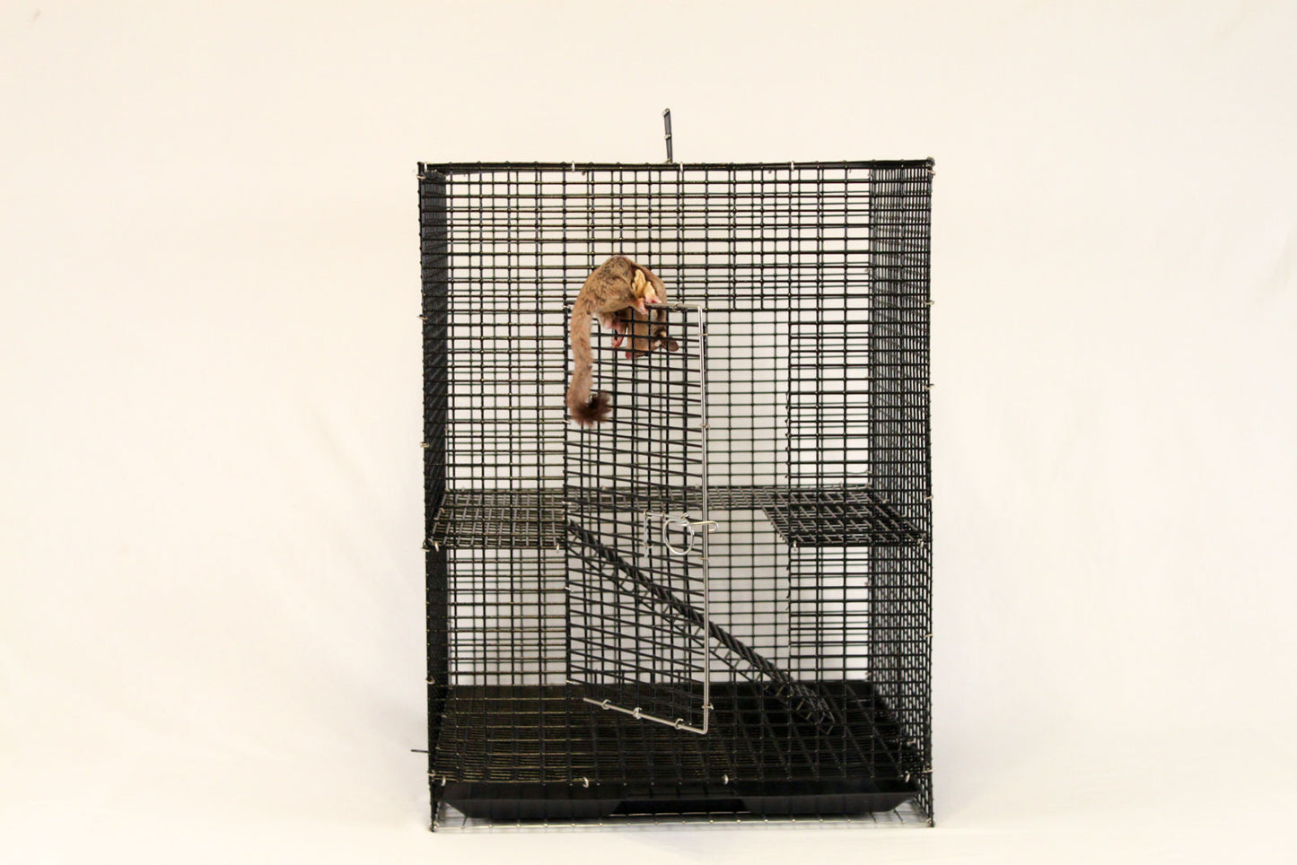 Jung-L-Gym Premium Start-R-Cage - Pocket Pets 