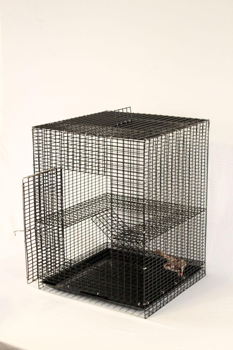 Jung-L-Gym Premium Start-R-Cage - Pocket Pets 