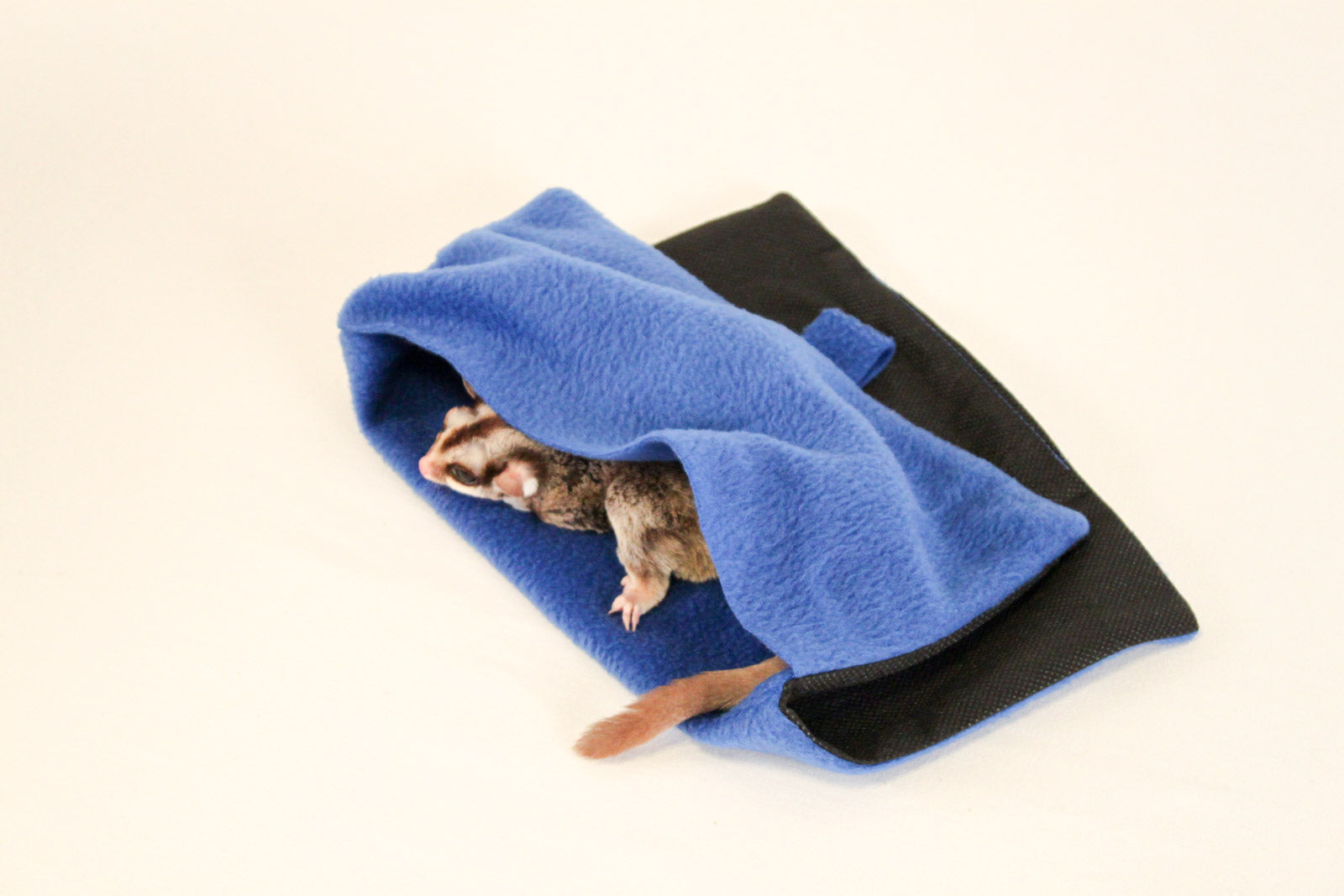 Blank-EZ - Sugar Glider Blanket - Pocket Pets 