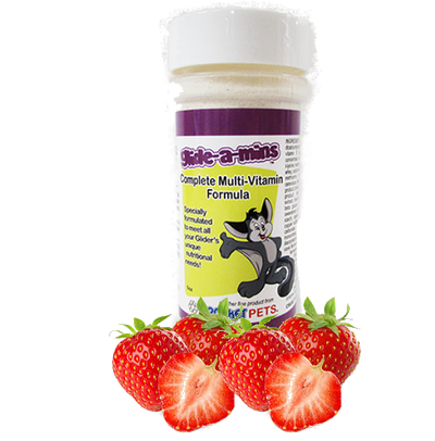 TWO Year Supply of Berry-Licious Glide-A-Mins - Pocket Pets 